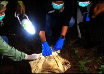 Personel Polisi dan masyarakat, memeriksa tempat bayi dikubur di Kampung Sabrang, Desa Katumbiri, Kecamatan Cigeulis, Kabupaten Pandeglang. (ISTIMEWA)