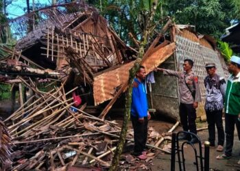 Rumah warga di Kecamatan Panimbang, Kabupaten Pandeglang, hancur tertimpa pohon Kelapa yang tumbang. (ISTIMEWA)