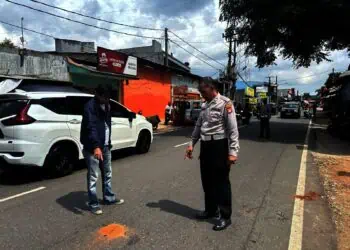 IMG-20250216-WA0008