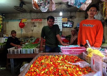 Kenaikan Harga Cabai Rawit di Tangsel Masih Wajar