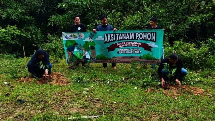 Cegah Longsor, Gunung Luhur di Lebak Ditanami Ribuan Pohon Keras