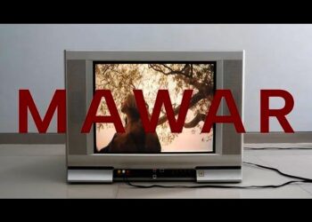 Lirik Lagu Mawar – Dere