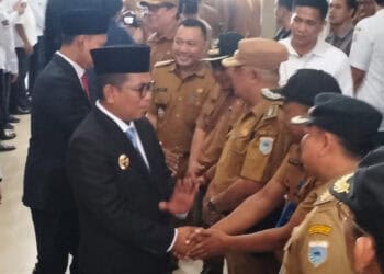 IMG-20250304-WA0047