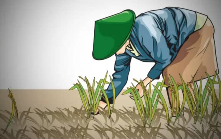 Dianggap Serobot Lahan, Ormas di Lebak Dipolisikan Kelompok Petani