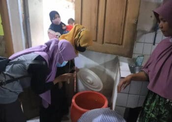 Dinkes Catat 15 Kasus Penyakit Chikungunya di Kota Tangerang, Paling Banyak di Kunciran