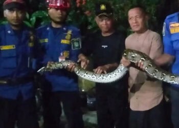 50729terus-bertugas-sepanjang-libur-lebaran-bpbd-kota-tangerang-layani-34-pengaduan-pelayanan-hingga-h-3-507291