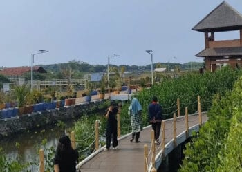 Ketapang Urban Aquaculture Mauk Sepi Pengunjung