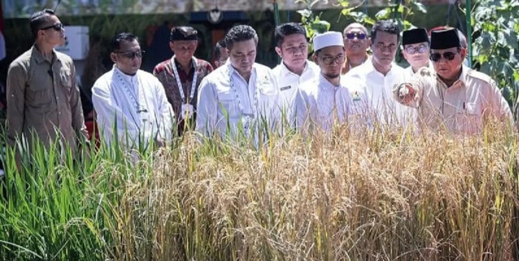 Prabowo Yakin Swasembada Pangan