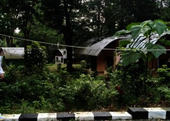 IMG-20250501-WA0015