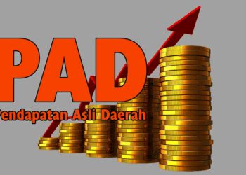 Ilustrasi PAD