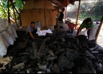 Pesanan Meningkat Tajam, Perajin Arang Kayu di Lebak Tersenyum Lebar Jelang Iduladha