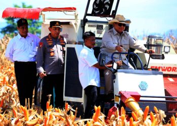 Inisiasi Polri Berhasil, Presiden Prabowo Senang Panen Raya Jagung