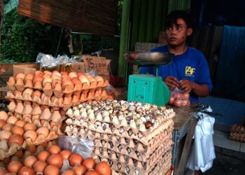 Harga Telur Naik Rp1.500 per Kilogram, Warga Tigaraksa Mengeluh
