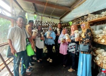 Sinergi PKK dan UMKM, Jamur Crispy Kaduagung Siap Jadi Produk Unggulan Lokal