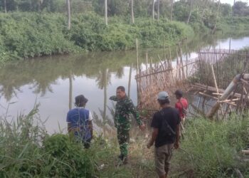 Irigasi Desa Cirumpak dan Desa Karet Jadi Sorotan Babinsa