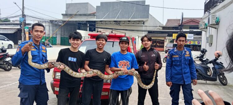 Damkar Tangsel Evakuasi Ular Sanca Dari Dalam Motor