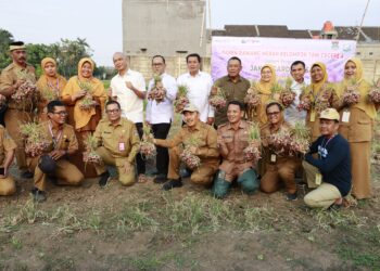 Bersama Jamintel, Bupati Tangerang Panen Bawang Merah Sebanyak 9 Ton