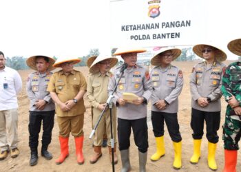 Dukung Swasembada Pangan, Polda Banten Gerakkan Penanaman Jagung 724 Hektar di Lebak