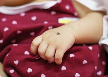 Waspadai DBD Sejak Dini: Lindungi Anak dari Rumah hingga Vaksinasi