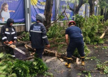 Hujan dan Angin Kencang Sebabkan Pohon Tumbang di Kota Tangerang, Akses Jalan Sempat Terhambat