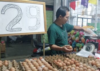 Harga Telur dan Cabai di Tangerang Naik, Diduga Imbas Program MBG
