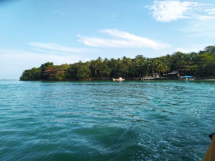 IMG-20251005-WA0014