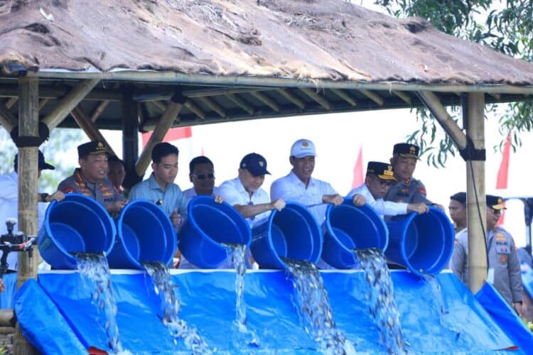 Wapres Gibran Tebar 80.000 Bibit Ikan Nila di Tigaraksa