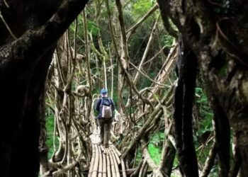 WNA Dilarang Kunjungi Baduy Dalam-Kampung Gajeboh Lebak,Ini Alasannya