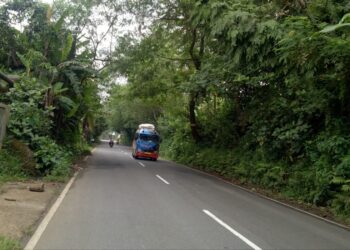 IMG-20251104-WA0015