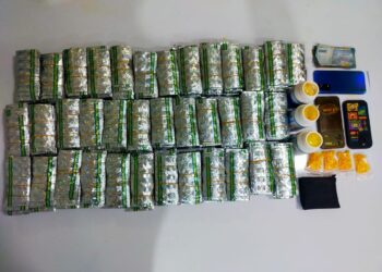 IMG-20251106-WA0010