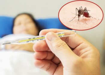 Januari–Oktober, Kasus DBD di Lebak Capai 857, Dua Warga Meninggal Dunia