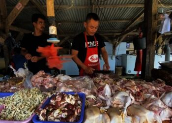 Warga Lebak Syok, Harga Ayam Tembus Rp 40 Ribu