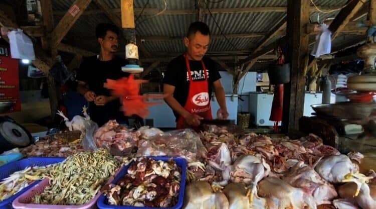 Warga Lebak Syok, Harga Ayam Tembus Rp 40 Ribu