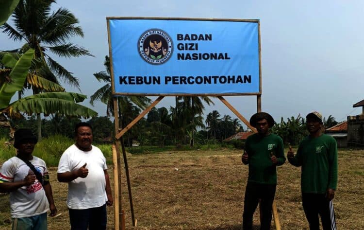 KEBUN PERCONTOHAN - Gerakan Masyarakat (Gema) Tani Kabupaten Pandeglang, yang dibentuk oleh H. Mulyadi, menjadi fokus dalam pengembangan untuk menyuplai hasil panen ke dapur Makan Bergizi Gratis (MBG). (ISTIMEWA)