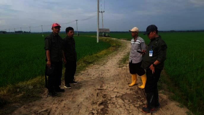 MENINJAU JALAN : Kabid Penyediaan dan Pengembangan Prasarana Pertanian pada Dinas Pertanian Provinsi Banten Saiful Bahri Maimun meninjau lokasi pembangunan JUT. (ISTIMEWA)