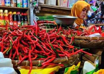 PENJUAL CABAI : Seorang penjual cabai menunggu pembeli disalah satu pasar di Banten. Komoditi cabai menjadi salah satu jenis bumbu dapur yang sulit ditekan harganya. (ISTIMEWA)