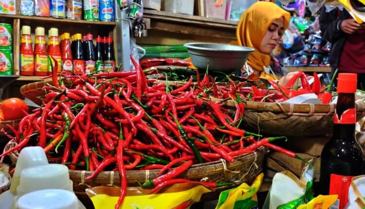 PENJUAL CABAI : Seorang penjual cabai menunggu pembeli disalah satu pasar di Banten. Komoditi cabai menjadi salah satu jenis bumbu dapur yang sulit ditekan harganya. (ISTIMEWA)