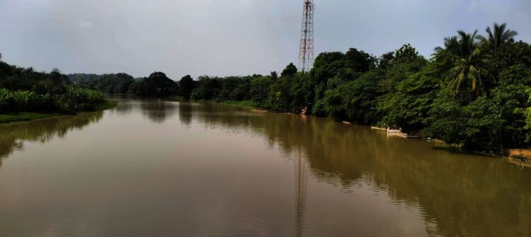 SUNGAI CIUJUNG : Aliran sungai ciujung di Desa Kolelet, Kecamatan Rangkasbitung bakal dijadikan sebagI tanggul dan lahan di bantaran sungai akan dibebaskan. Hingga saat ini, pihak BBWSC3 belum memasukan program tersebut dalam skala prioritas. (ISTIMEWA)