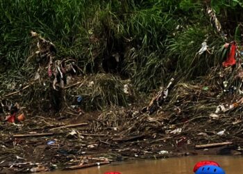 MINIM VEGETASI - Sebanyak 10 titik sepanjang jalur Daerah Aliran Sungai (DAS) Cibanten, dari Kidemang-Kenari, Kota Serang mengalami abrasi. Abrasi terjadi karena, sepanjang sepadan sungai tersebut minim vegetasi tumbuhan, ditambah lagi adanya sedimentasi. (ISTIMEWA)