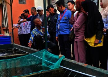 Dari UMKM hingga Ketahanan Pangan, Ini Deretan CSR Mayora Indah Region Jatake yang Tuai Apresiasi