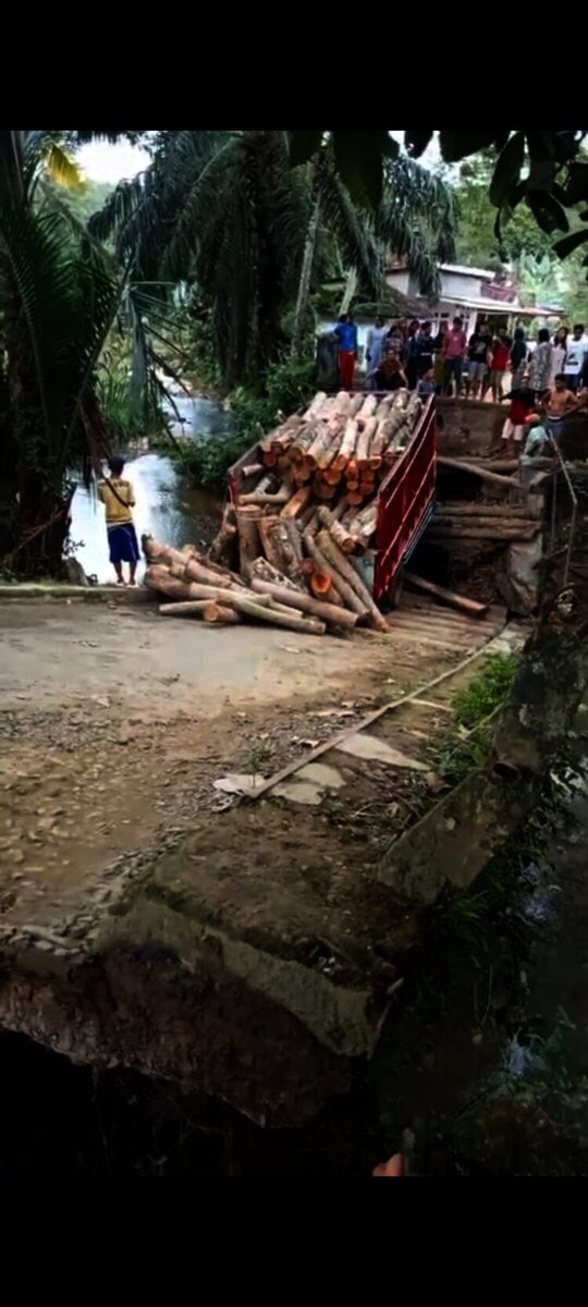 Jembatan Pasirnangka, Desa Kramatjaya, Kecamatan Cimanggu, Kabupaten Pandeglang, ambruk. (ISTIMEWA)