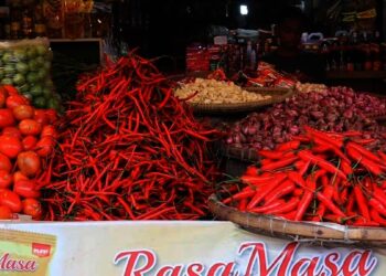 Nataru Kian Dekat, Harga Cabai Melonjak di Kota Tangerang Meningkat