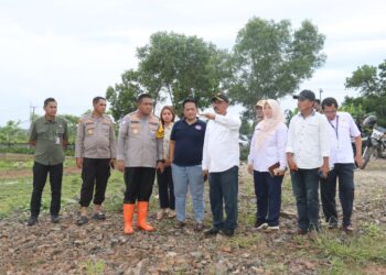 Lahan Jagung Tigaraksa Masih Berproses, DPKP Tegaskan Tidak Gagal Panen