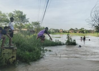 115 Rumah dan 35 Hektar Sawah di Pasir Ampo Kresek Kebanjiran