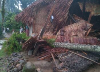 AMBRUK - Sebuah rumah milik janda sebatang kara, Saci (64), warga Kampung Cibeber RT 002 RW 005, Desa Banyuasih, Kecamatan Cigeulis, Kabupaten Pandeglang, ambruk, akibat tertimpa pohon tumbang, Minggu (18/1/2026). (ISTIMEWA)