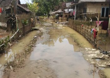 BANJIR SURUT - Banjir yang sebelumnya melanda Desa Idaman, Kecamatan Patia, Kabupaten Pandeglang, kini mulai surut, Minggu (18/1/2026). (ISTIMEWA)