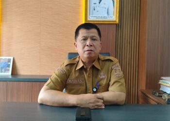Kepala Dinas Penanaman Modal dan Pelayanan Terpadu Satu Pintu (DPMPTSP) Kabupaten Serang, Wawan Ikhwanudin. (ISTIMEWA)