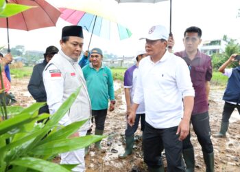Perkuat Identitas Daerah, Bupati Tangerang Tanam Ribuan Bambu