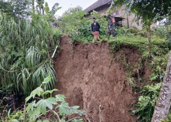 LONGSORAN TANAH TEBING - Akibat intensitas hujan tinggi, sejumlah rumah di Kampung Cinyurup, Kelurahan Juhut, Kecamatan Karangtanjung, Kabupaten Pandeglang, tertimpa longsoran tanah tebing dan mengalami rusak sedang, Rabu (21/1/2026). (ISTIMEWA)