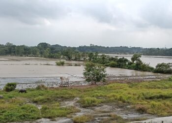 MASIH TERENDAM : Lebih dari 300 hektare lahan pertanian di Kecamatan Tunjungteja, Kabupaten Serang, terendam selama tiga minggu. Kerugian para nelayan ditaksir semakin besar, yakni mencapai Rp46,8 miliar. (ISTIMEWA)